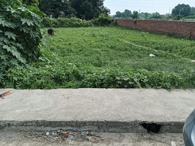 Mohanlalganj Plot View 1
