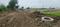 SHIV SHAKTI VIHAR CHHOTA BANGARDA INDORE Plot View 2