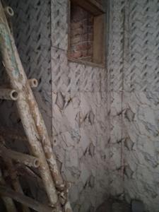 Common Bathroom Image of 1050 Sq.ft 2 BHK Apartment / Flat for sale in Sector 101 Noida for Rs. 4200000