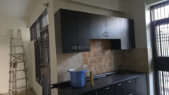 Gardenia Glory Main Image 1