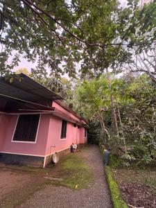 Image of 10890 Sq.ft 3 BHK Independent House for sale in Karuvanchal, Kannur for Rs. 6200000