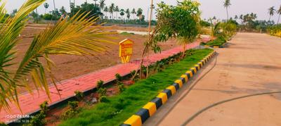 Image of 150 Sq.ft Residential Plot / Land for sale in Prodduturu, Krishna for Rs. 3300000