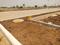 Budhera Plot View 2