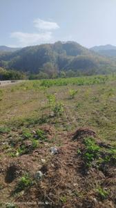 Dunga Valley Plot View 3