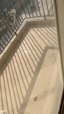 Image of 672 Sq.ft 2 BHK Apartment / Flat for sale in GLS South Avenue, Sector 92, Gurgaon for Rs. 5700000