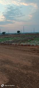 Tamando Plot View 1