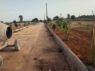 Shadnagar Plot View 1