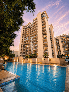 Image of 1650 Sq.ft 4 BHK Apartment / Flat for sale in Tulip Purple, Sector 69, Gurgaon for Rs. 28000000