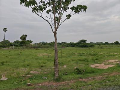 Image of 900 Sq.ft Residential Plot / Land for sale in Mahindra World City, Chennai for Rs. 1349100