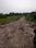 Natures Paradise Internal Roads 2