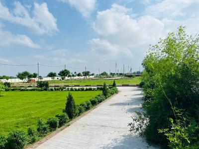 Image of 900 Sq.ft Residential Plot / Land for sale in Amiliha, Kanpur for Rs. 1700000