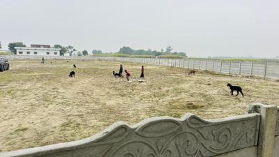 Image of 630 Sq.ft Residential Plot / Land for sale in Babatpur, Varanasi for Rs. 1008000