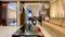 Real Rudraksh Apartment Hall 1