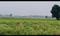 Smart valley Main Image 1