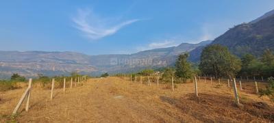 Image of 20000 Sq.ft Residential Plot / Land for sale in Shahapur, Thane for Rs. 5000000