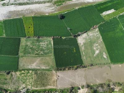 Image of 225000 Sq.ft Residential Plot / Land for sale in Vrindaban Bangar, Vrindavan for Rs. 45000000