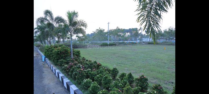 Dollers layout Main Image 1