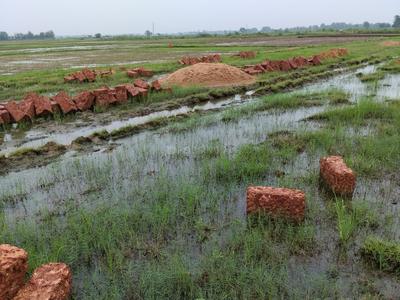 Image of 1500 Sq.ft Residential Plot / Land for sale in Benupur, Bhubaneswar for Rs. 3450000