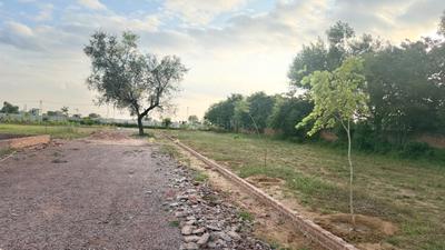 Image of 1800 Sq.ft Residential Plot / Land for sale in Barsana, Mathura for Rs. 7600000