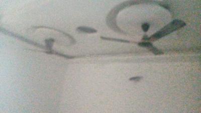 Living Room Image of 1500 Sq.ft 3 BHK Apartment / Flat for sale in Sector 74 Noida for Rs. 5800000