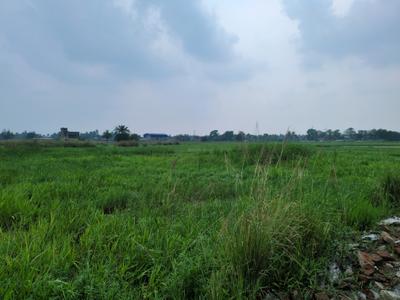 Nest Valley Plot View 1