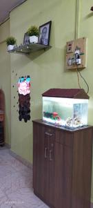 Hall Image of 490 Sq.ft 1 BHK Apartment / Flat for sale in Diva Thane for Rs. 1600000