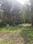 Digha Plot View 2
