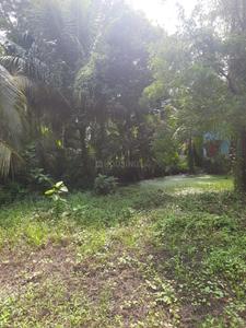 Digha Plot View 2