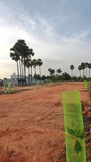 Gubera Astalakshmi Reals AIIMS Township Main Image 1