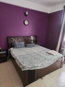 Bedroom Image of 1455 Sq.ft 3 BHK Apartment / Flat for rent in SRS Royal Hills, Sector 87 Faridabad for Rs. 32000