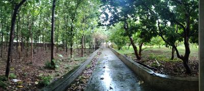 Image of 71041 Sq.ft Residential Plot / Land for sale in Kodiyat, Udaipur for Rs. 190000000