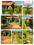 Vakruthi Infra Woxen Valley Main Image 1