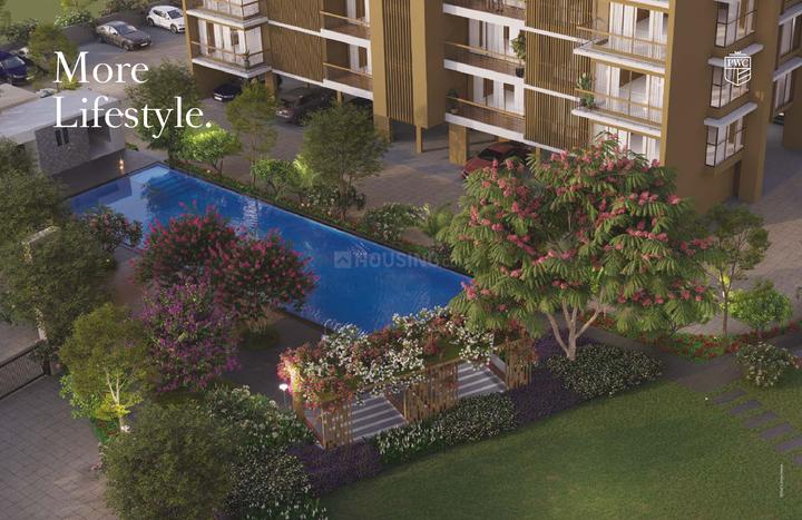 Skyi Songbirds Main Image 1