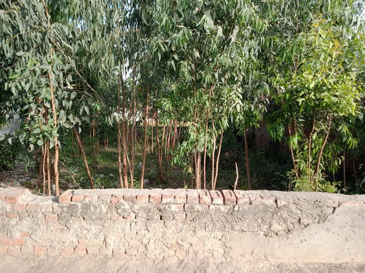 Kareilly, Kargaina Main Image 1