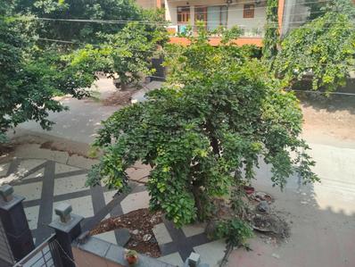 Image of 1580 Sq.ft 3.5 BHK Builder Floor for sale in Sector 46, Gurgaon for Rs. 26000000
