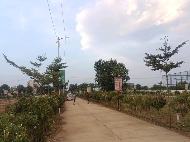 Lonikand Main Image 1