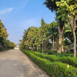 Image of 1777 Sq.ft 3 BHK Apartment / Flat for sale in New Chandigarh, Chandigarh for Rs. 16000000