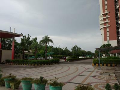 Image of 655 Sq.ft 1 BHK Apartment / Flat for rent in SDS NRI Residency, Omega II, Greater Noida for Rs. 17000