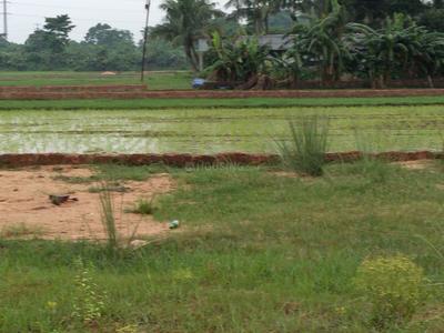 Image of 1000 Sq.ft Residential Plot / Land for sale in Benupur, Bhubaneswar for Rs. 2300000