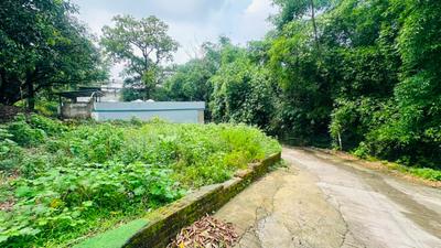 Sinola Plot View 1