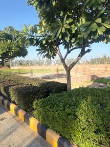 Image of 2250 Sq.ft Residential Plot / Land for sale in Sangowal, Ludhiana for Rs. 7500000