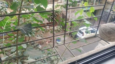 Balcony Image of 585 Sq.ft 1 BHK Apartment / Flat for sale in Seawoods Navi Mumbai for Rs. 6900000
