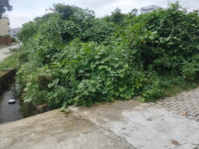 Image of 900 Sq.ft Residential Plot / Land for sale in Sahastradhara Road, Dehradun for Rs. 7000000
