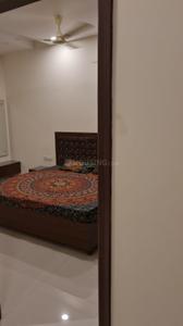 Bedroom Image of 820 Sq.ft 2 BHK Apartment / Flat for rent in Hardyal Nagar Jalandhar for Rs. 24000