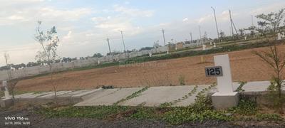 Adivi Plot View 1