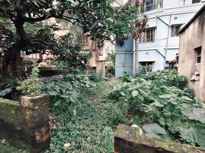 PANPARA 3RD LANE Plot View 2