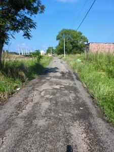 Wander Valley Internal Roads 1