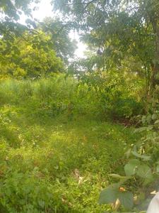 Image of 10890 Sq.ft Residential Plot / Land for sale in Chembukkav, Thrissur for Rs. 25000000