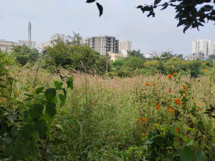 Anjanapura 1st Block, Lal Bahadur Shastri Nagar Main Image 1