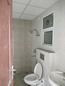 Common Bathroom Image of 1940 Sq.ft 3 BHK Apartment / Flat for rent in Omaxe Royal Residency, Sector 79 Faridabad for Rs. 45000